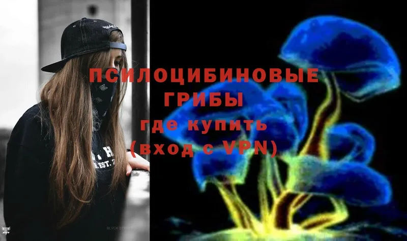 ссылка на мегу ссылки  наркота  Курск  Псилоцибиновые грибы Psilocybine cubensis 